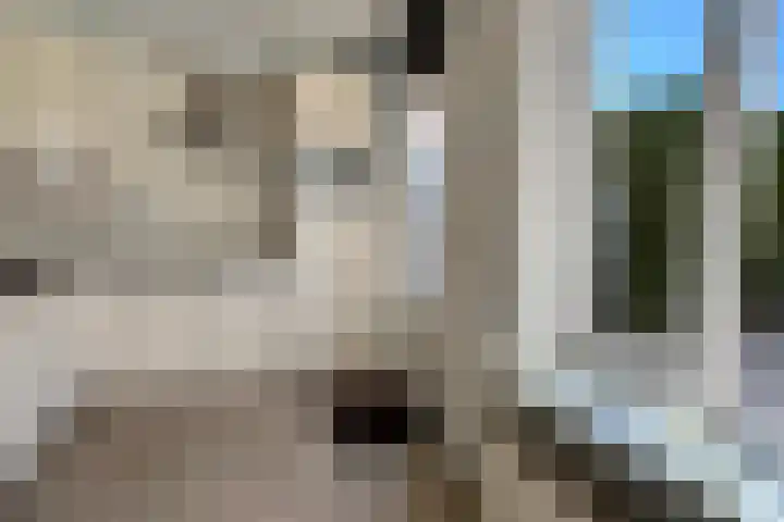 Zonnebloemstraat 10 Didam thumbnail 9