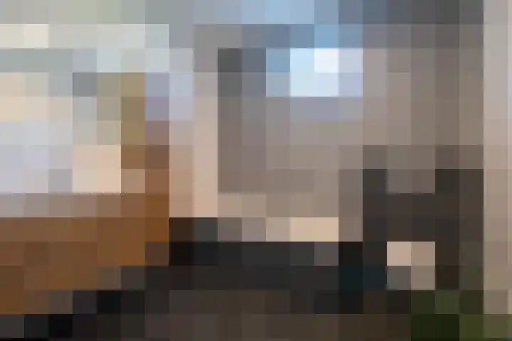 Zonnebloemstraat 10 Goor thumbnail 14