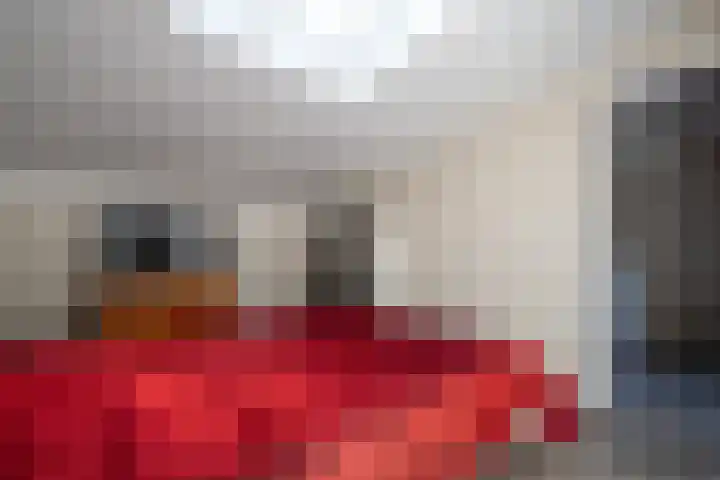 Zonnebloemstraat 10 Goor thumbnail 19
