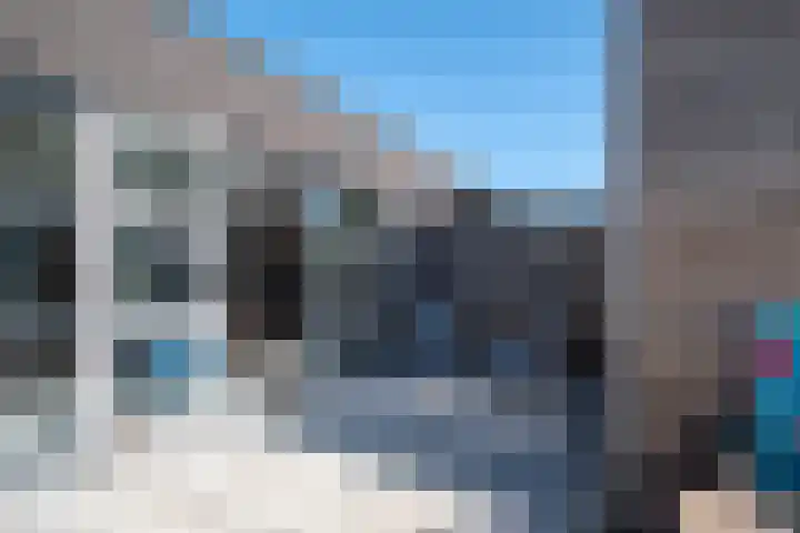 Zonnebloemstraat 10 Goor thumbnail 20
