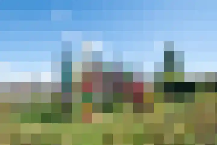 Zonnebloemstraat 10 Goor thumbnail 24