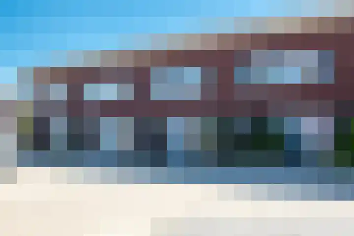 Zonnebloemstraat 10 Goor thumbnail 25