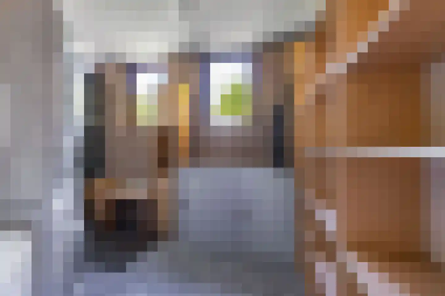 Zonnebloemstraat 10 Heerenveen thumbnail 20