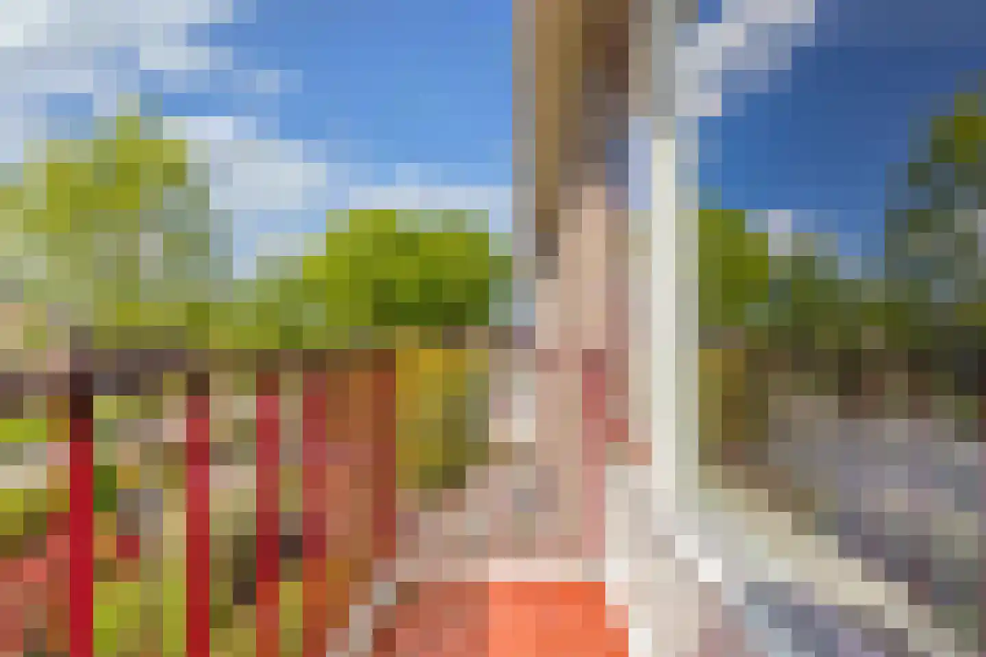 Zonnebloemstraat 10 Heerenveen thumbnail 32