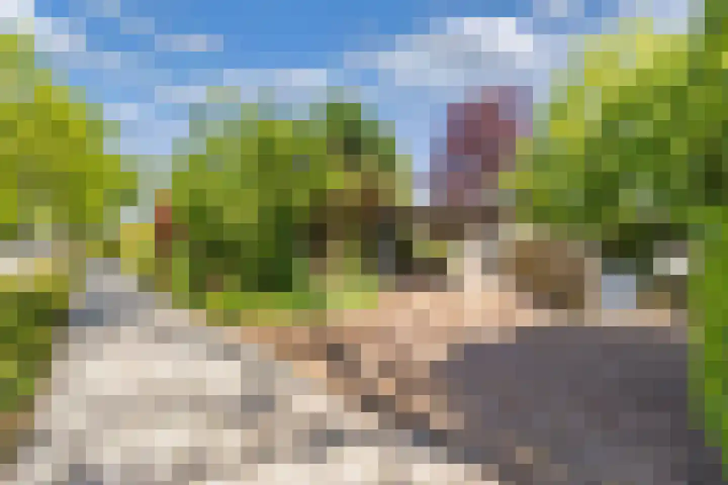 Zonnebloemstraat 10 Heerenveen thumbnail 33