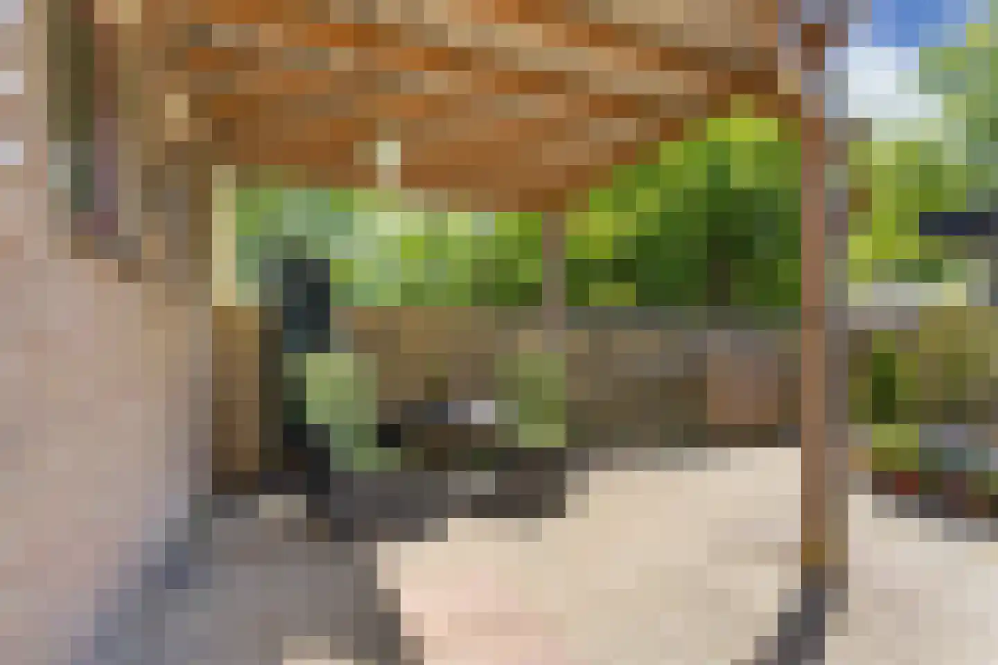 Zonnebloemstraat 10 Heerenveen thumbnail 34