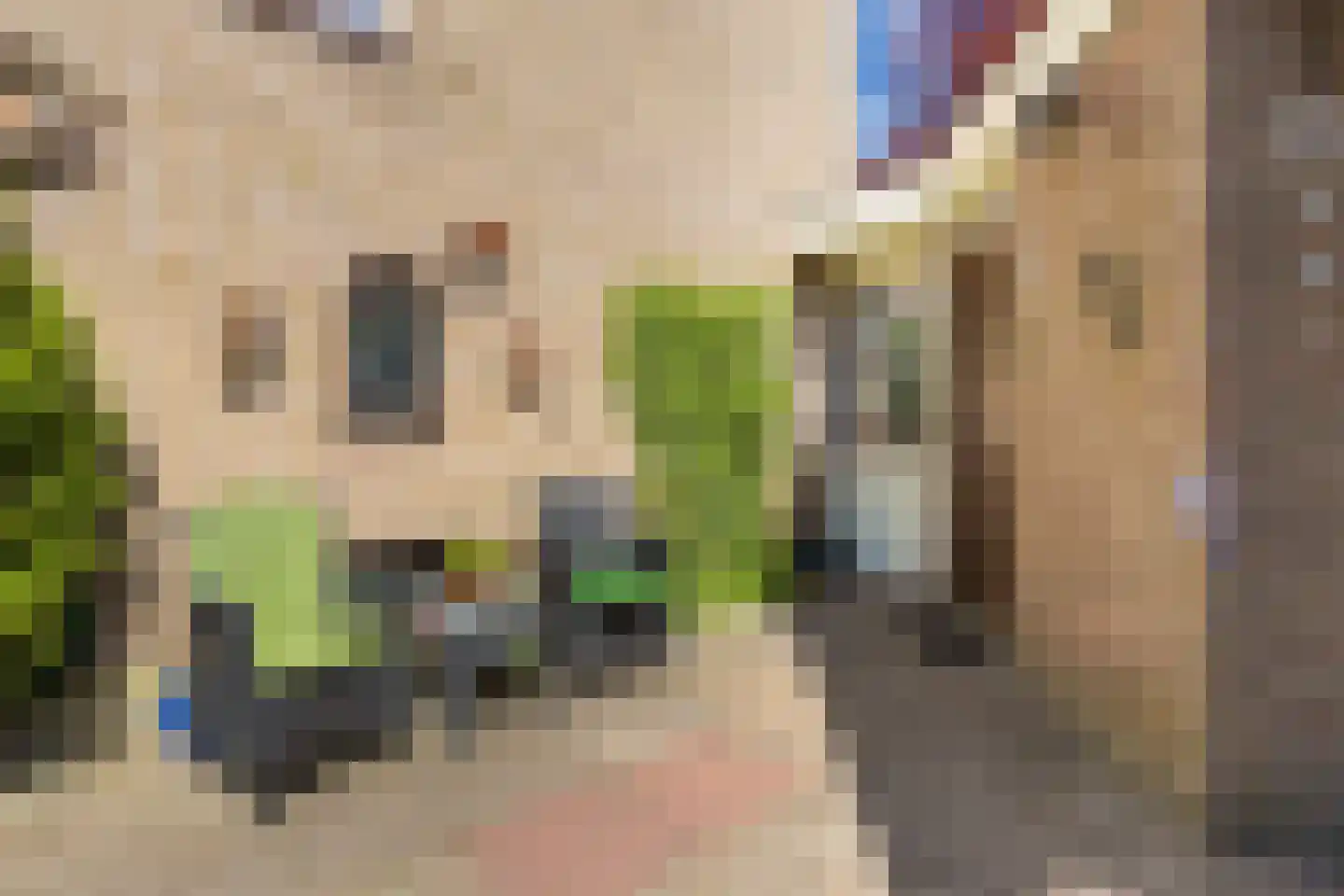 Zonnebloemstraat 10 Heerenveen thumbnail 35