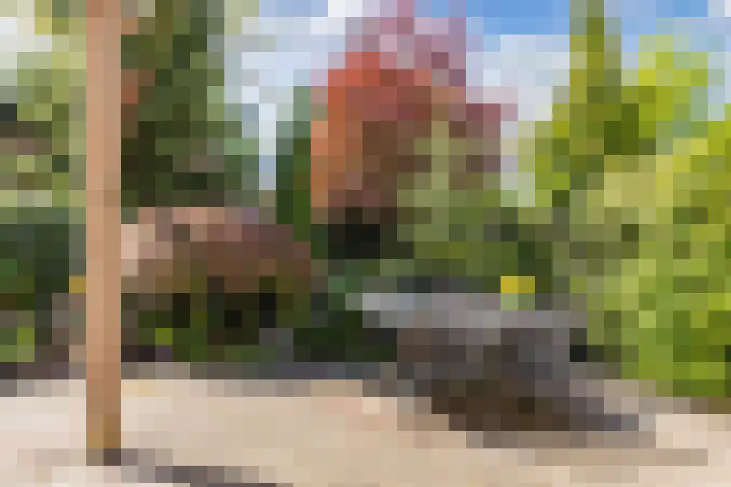 Zonnebloemstraat 10 Heerenveen thumbnail 38
