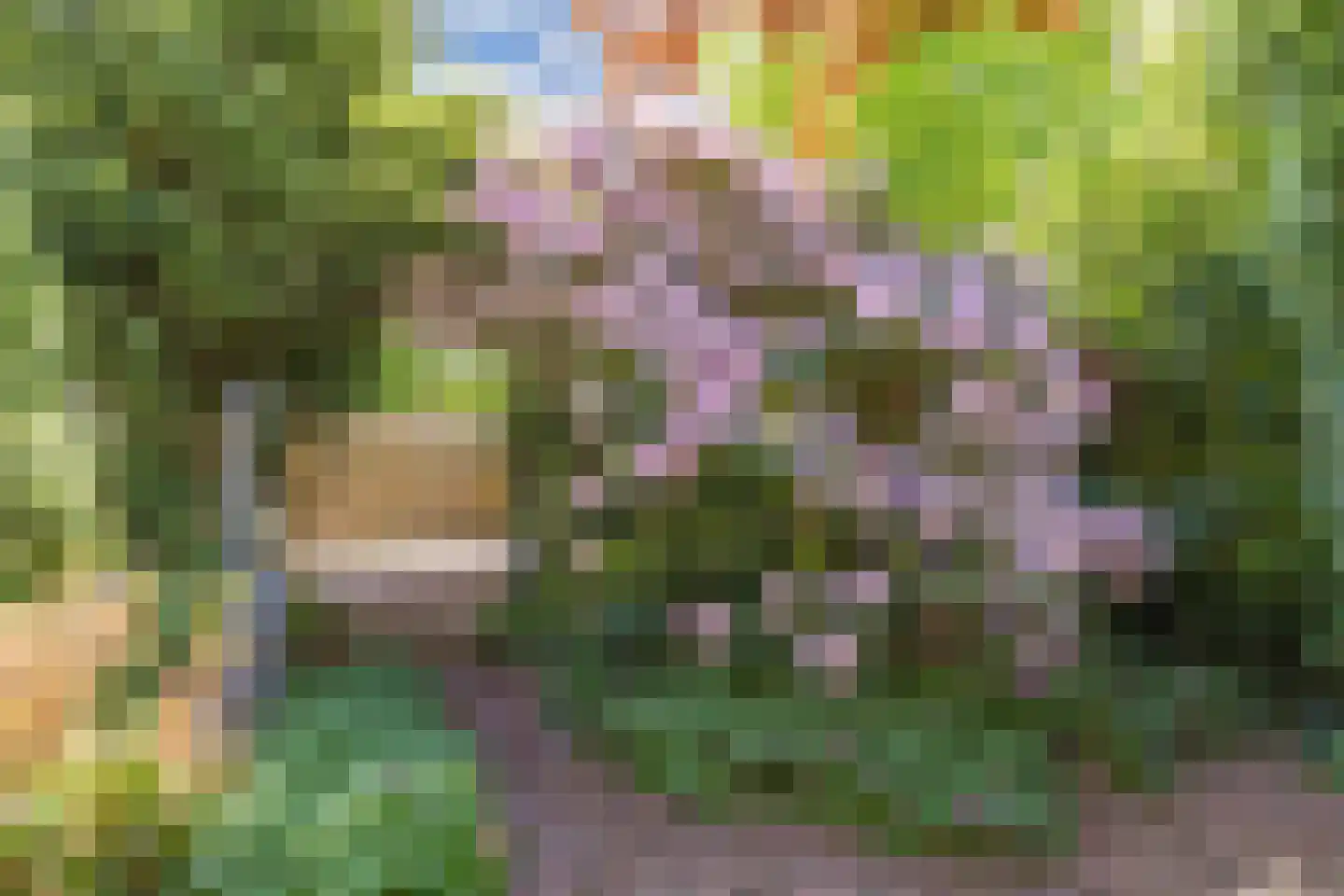 Zonnebloemstraat 10 Heerenveen thumbnail 39