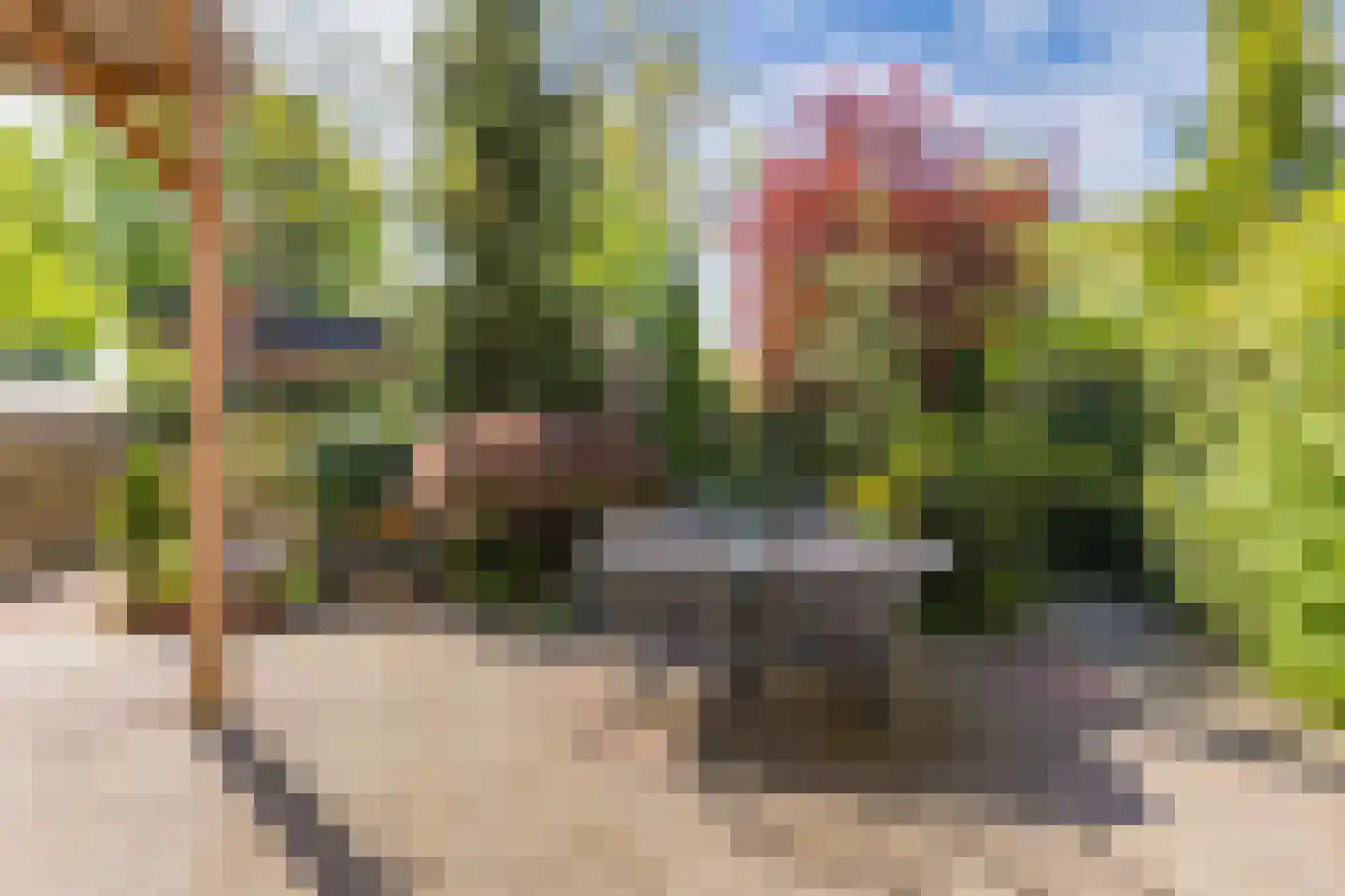 Zonnebloemstraat 10 Heerenveen thumbnail 4