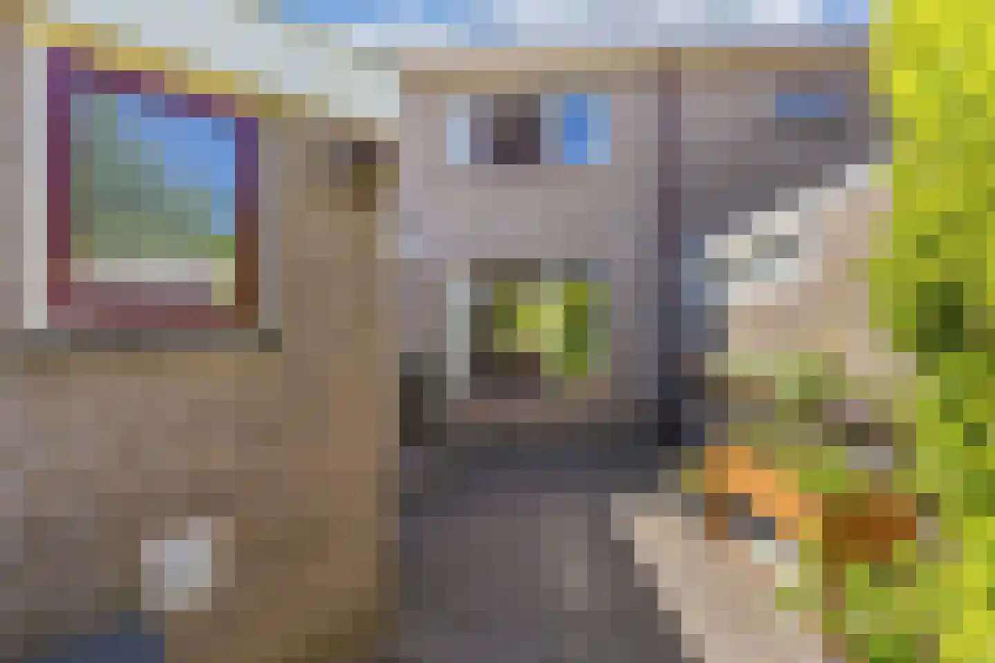Zonnebloemstraat 10 Heerenveen thumbnail 40