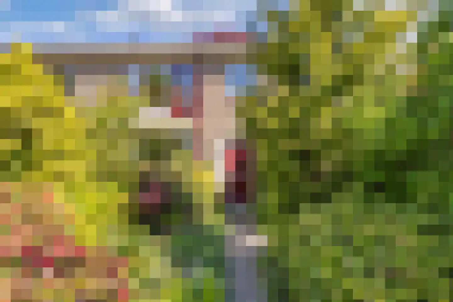 Zonnebloemstraat 10 Heerenveen thumbnail 44