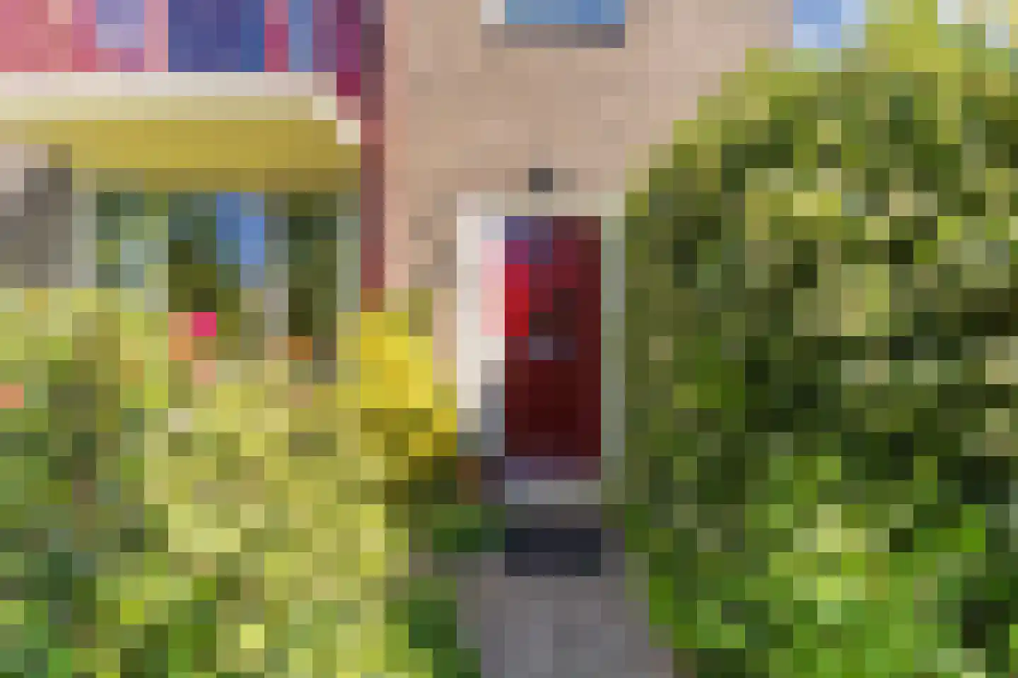 Zonnebloemstraat 10 Heerenveen thumbnail 45