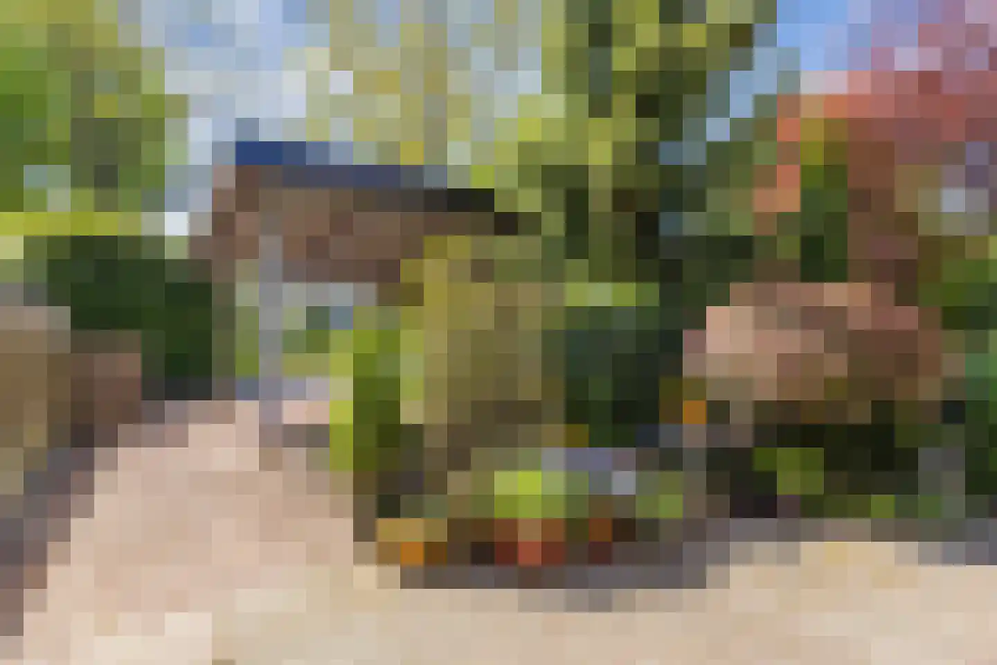 Zonnebloemstraat 10 Heerenveen thumbnail 5