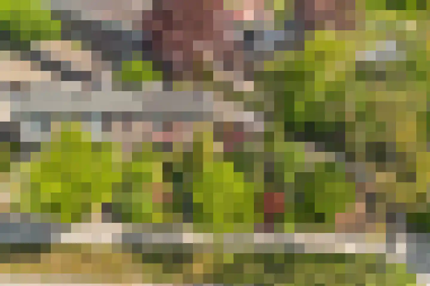 Zonnebloemstraat 10 Heerenveen thumbnail 50