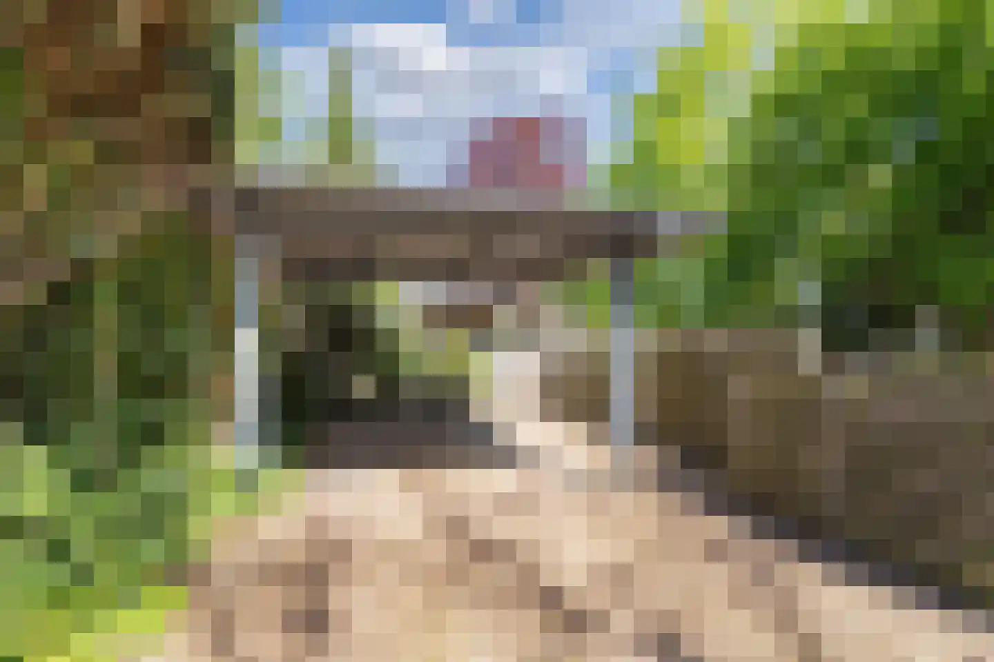 Zonnebloemstraat 10 Heerenveen thumbnail 6