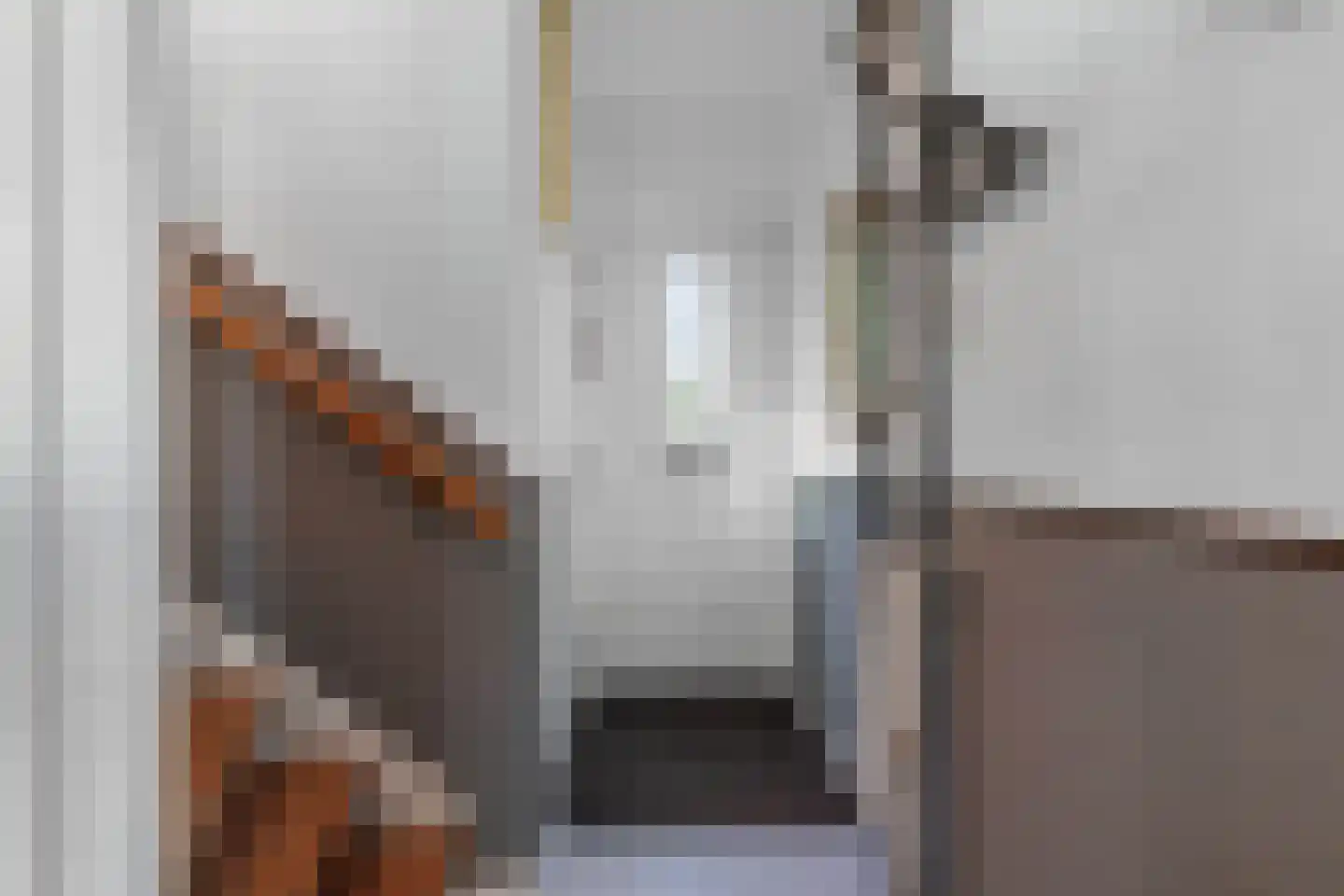 Zonnebloemstraat 10 Heerenveen thumbnail 9