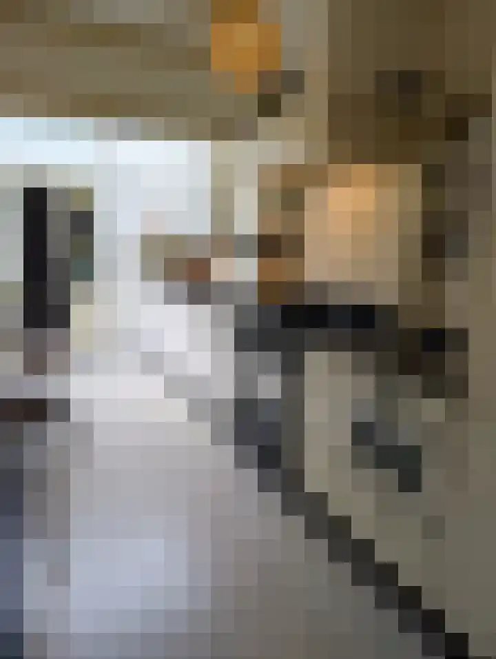 Zonnebloemstraat 12 Goes thumbnail 11