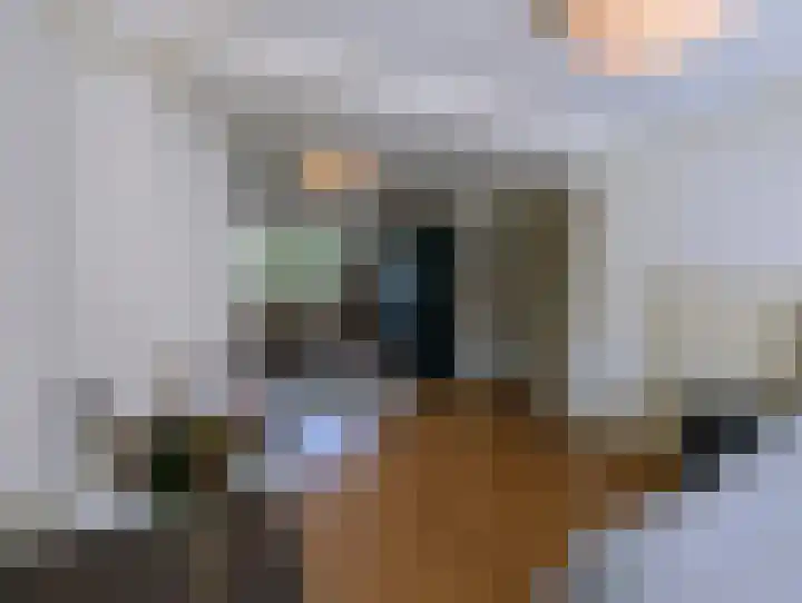 Zonnebloemstraat 12 Goes thumbnail 15