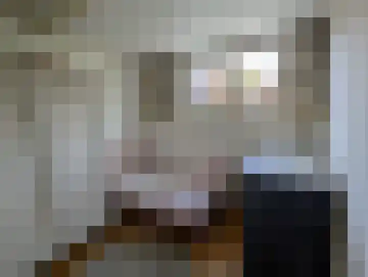 Zonnebloemstraat 12 Goes thumbnail 16