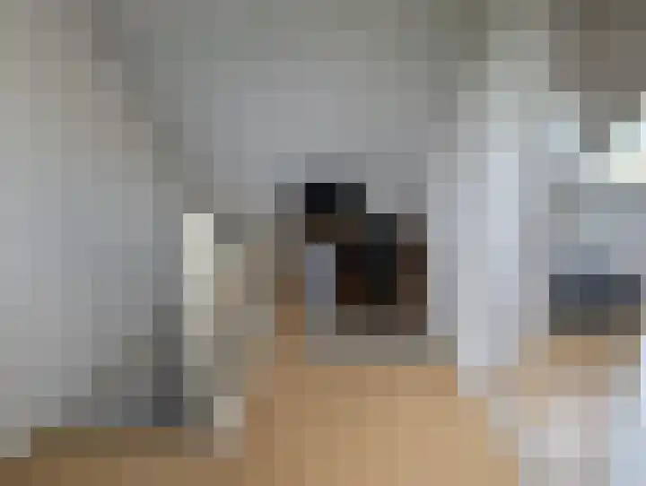 Zonnebloemstraat 12 Goes thumbnail 19