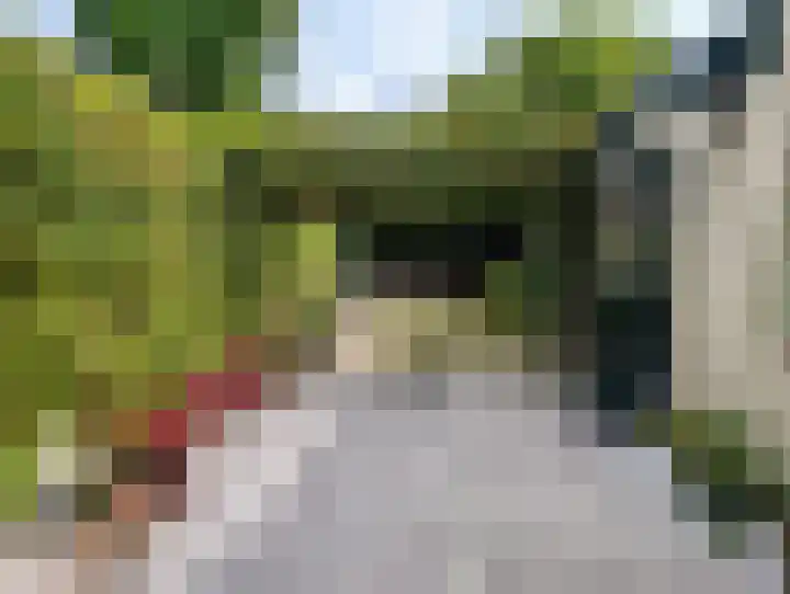 Zonnebloemstraat 12 Goes thumbnail 21