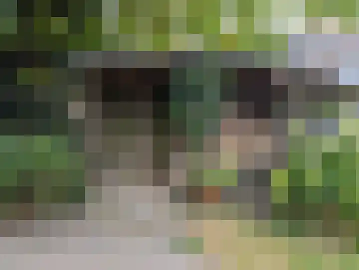 Zonnebloemstraat 12 Goes thumbnail 22