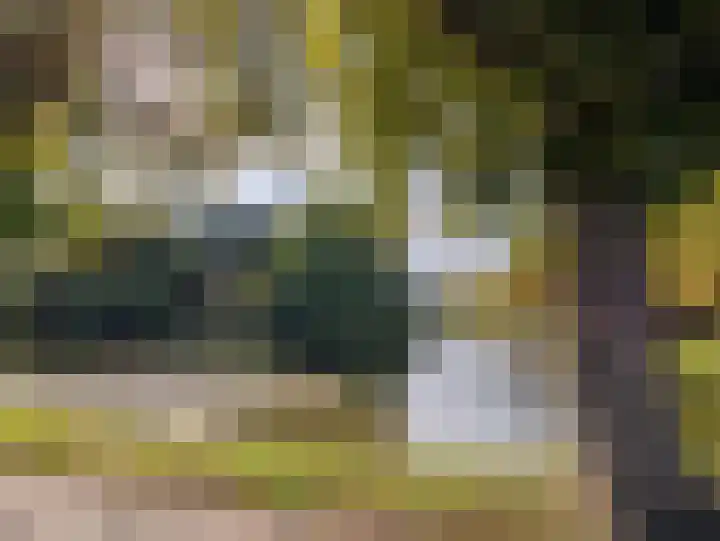 Zonnebloemstraat 12 Goes thumbnail 23