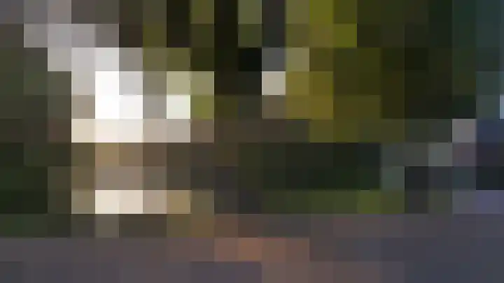 Zonnebloemstraat 12 Goes thumbnail 24