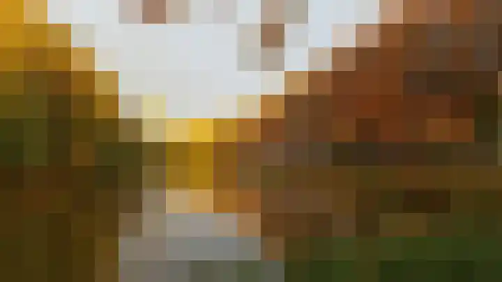 Zonnebloemstraat 12 Goes thumbnail 25