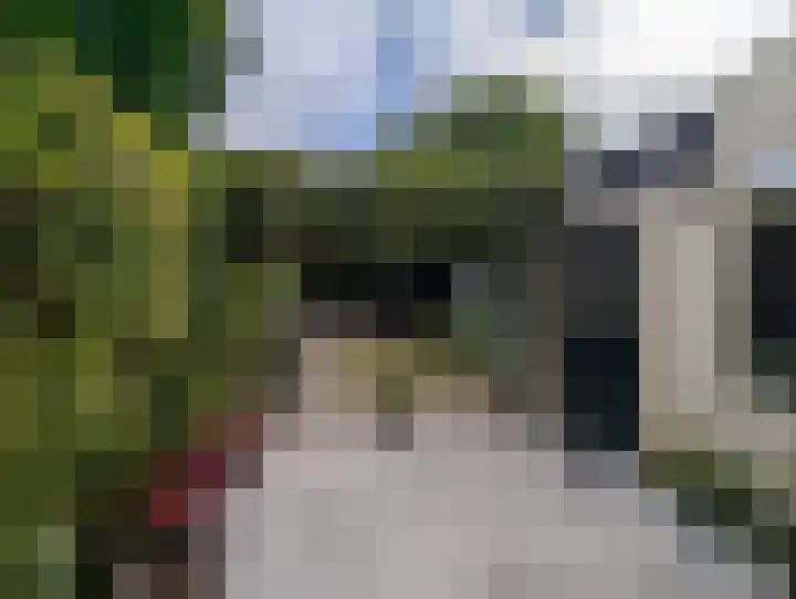 Zonnebloemstraat 12 Goes thumbnail 4