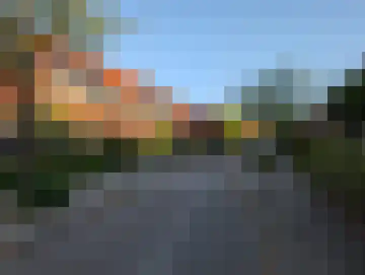 Zonnebloemstraat 12 Goes thumbnail 5