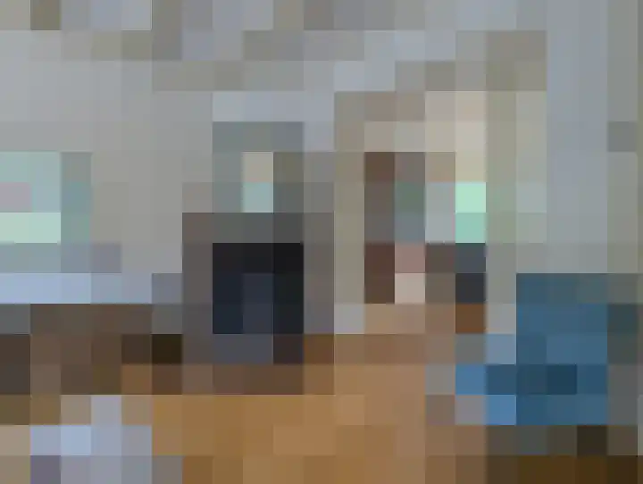 Zonnebloemstraat 12 Goes thumbnail 8