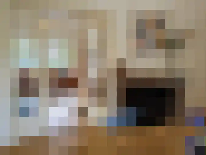 Zonnebloemstraat 12 Goes thumbnail 9