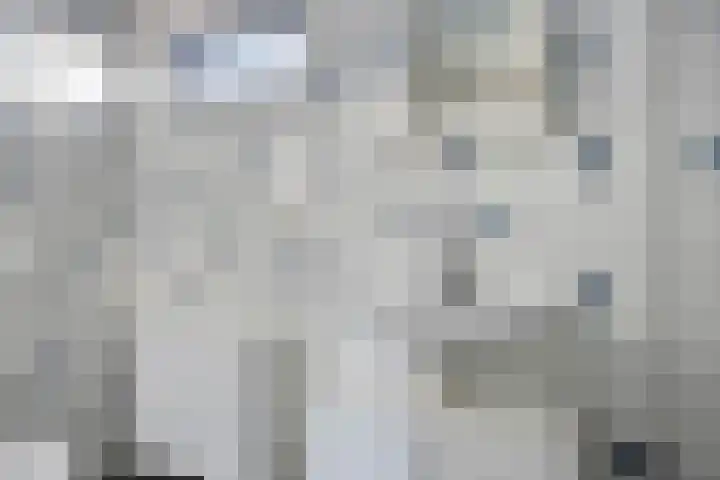 Zonnebloemstraat 13 Luttelgeest thumbnail 13