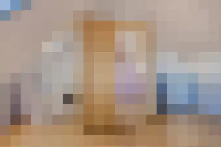 Zonnebloemstraat 13 Luttelgeest thumbnail 18