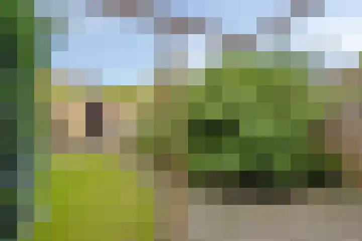 Zonnebloemstraat 13 Luttelgeest thumbnail 19