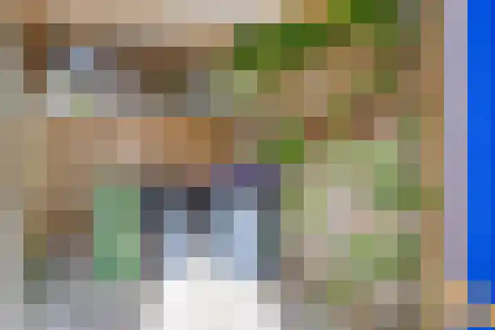 Zonnebloemstraat 13 Luttelgeest thumbnail 21