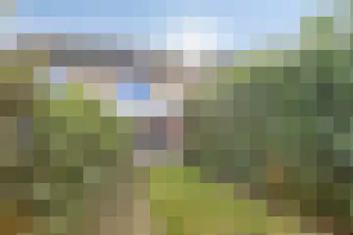 Zonnebloemstraat 13 Luttelgeest thumbnail 22