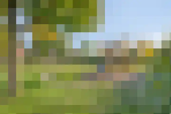 Zonnebloemstraat 13 Luttelgeest thumbnail 24