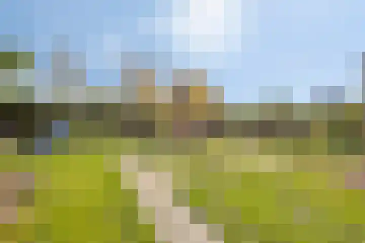 Zonnebloemstraat 13 Luttelgeest thumbnail 25