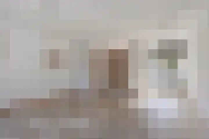 Zonnebloemstraat 13 Luttelgeest thumbnail 7
