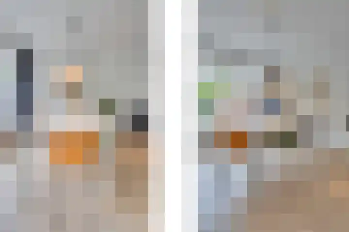 Zonnebloemstraat 15 Goes thumbnail 10