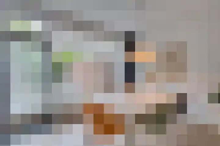 Zonnebloemstraat 15 Goes thumbnail 11