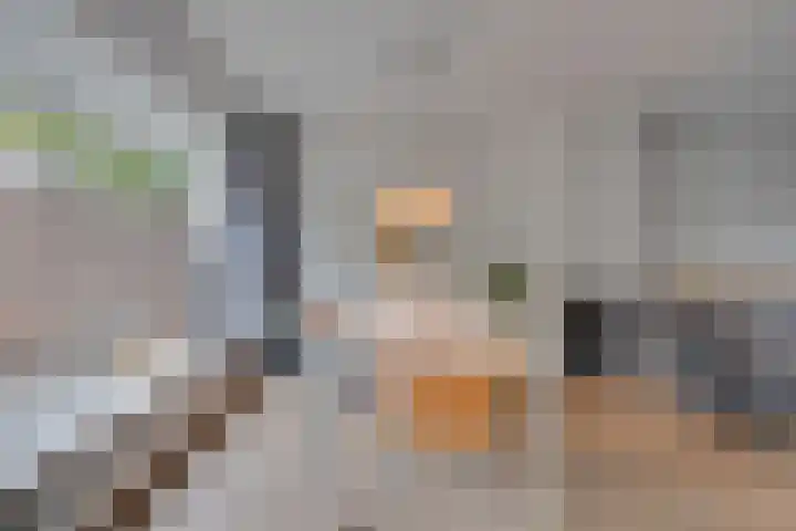Zonnebloemstraat 15 Goes thumbnail 12