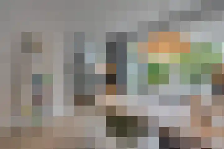 Zonnebloemstraat 15 Goes thumbnail 14
