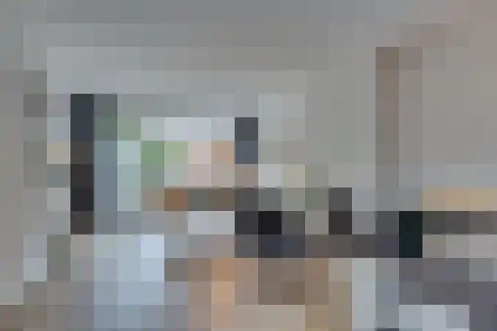 Zonnebloemstraat 15 Goes thumbnail 18