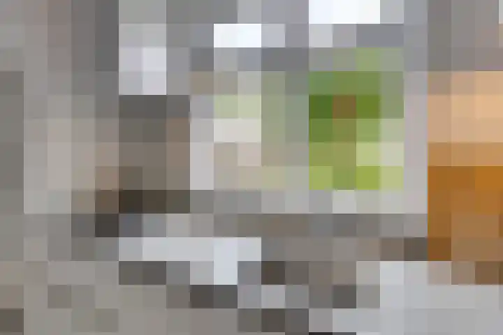 Zonnebloemstraat 15 Goes thumbnail 20