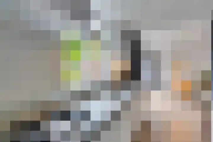 Zonnebloemstraat 15 Goes thumbnail 21