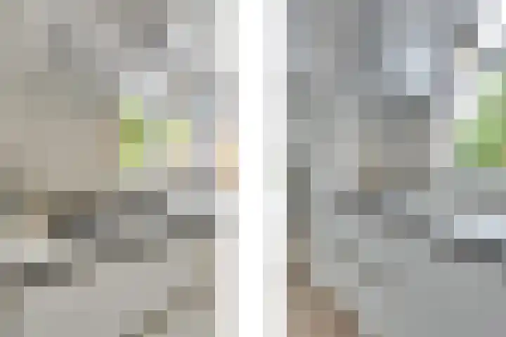 Zonnebloemstraat 15 Goes thumbnail 23